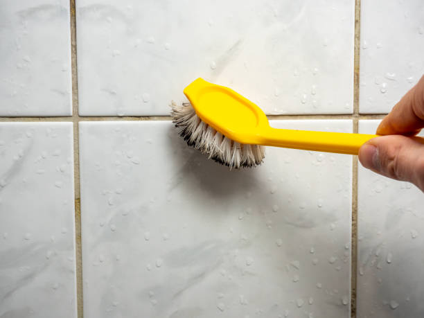 Best Local Mold Removal Service  in West Falls Church, VA