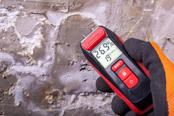  West Falls Church, VA Mold Removal Pros