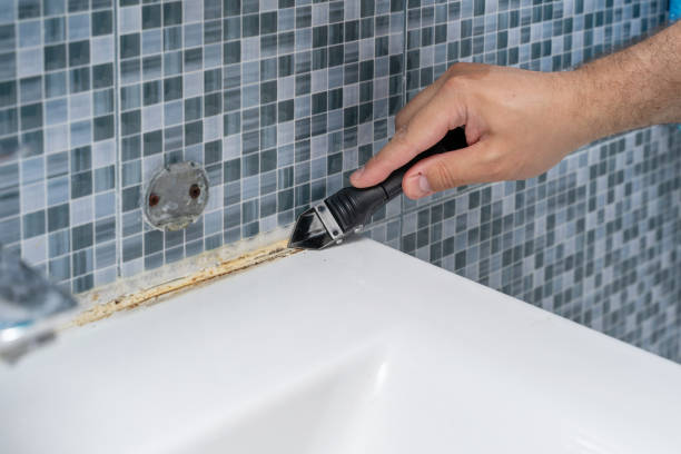 Trusted West Falls Church, VA Mold Removal Experts